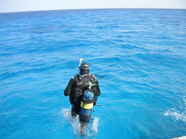 dscn9341.jpg