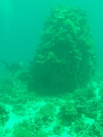 p1020477.jpg