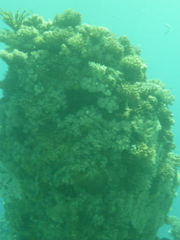 p1020487.jpg
