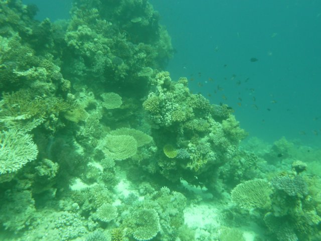 p1020490.jpg