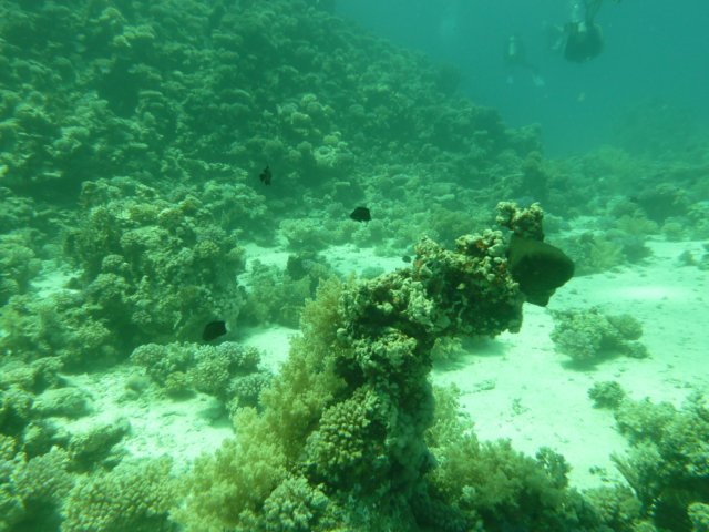 p1020509.jpg