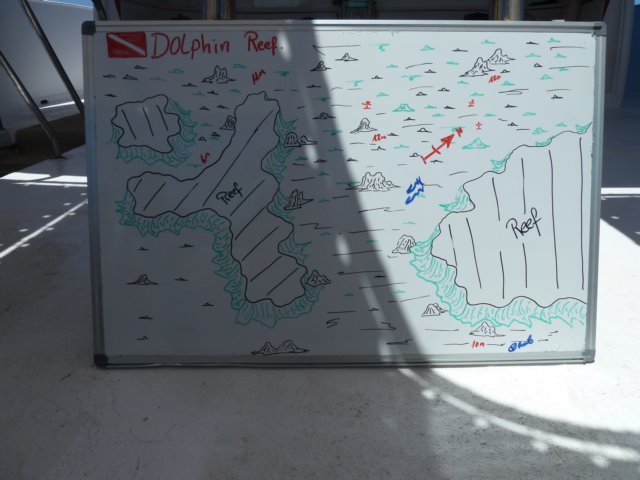 p1020534.jpg