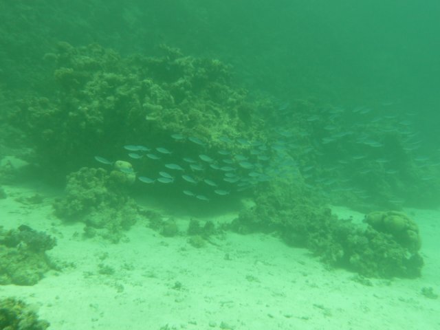 p1020545.jpg
