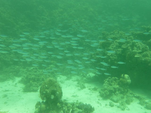 p1020547.jpg