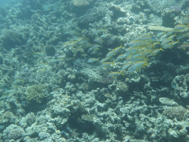 p1020551.jpg