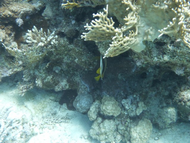 p1020552.jpg