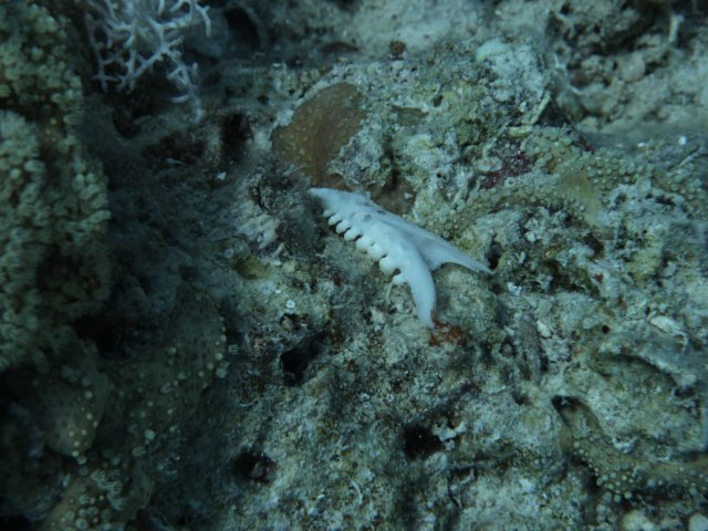 p1020563.jpg
