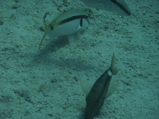 p1020564.jpg