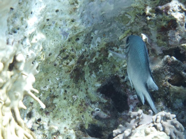 p1020576.jpg