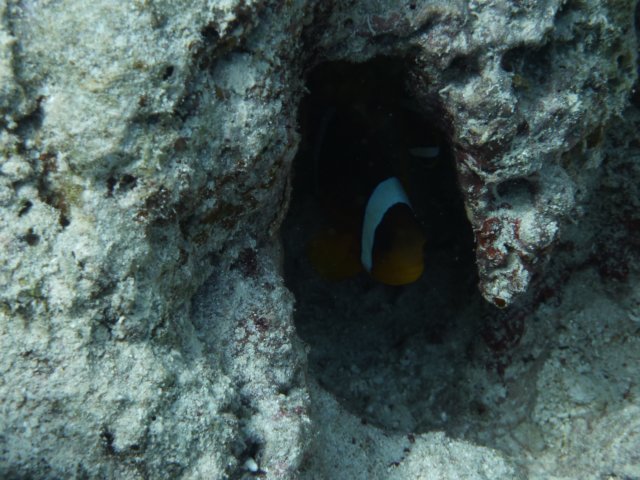 p1020579.jpg