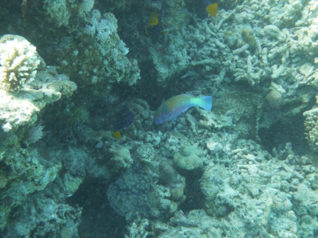p1020609.jpg