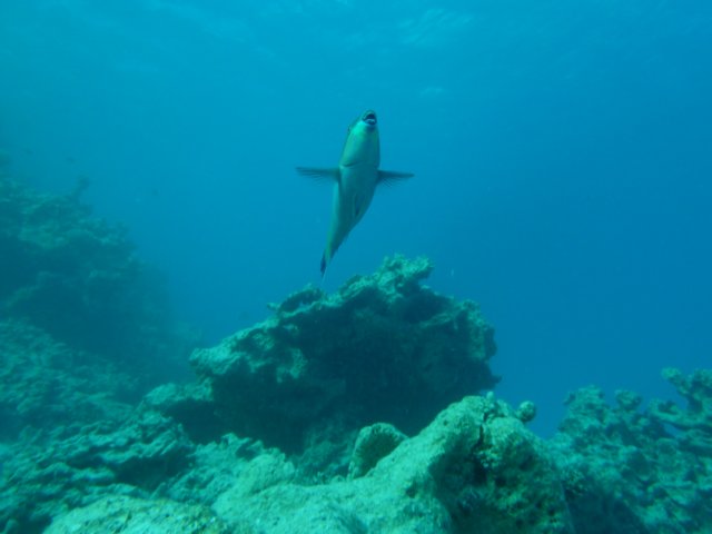 p1020612.jpg