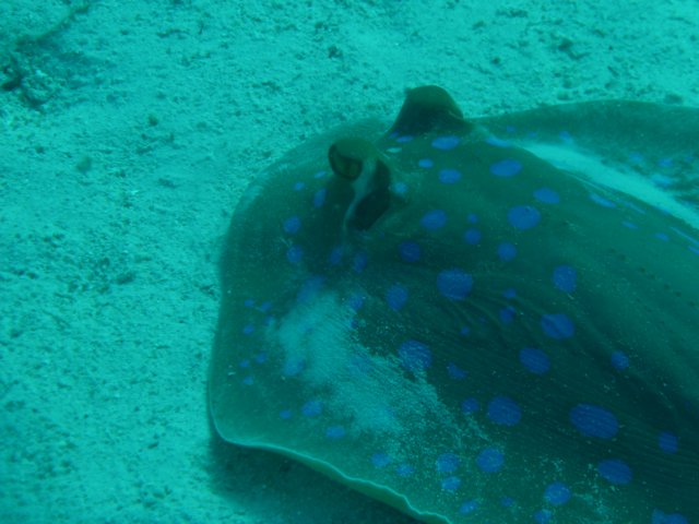 p1020614.jpg