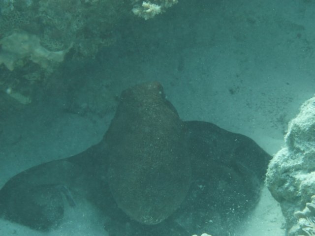 p1020619.jpg