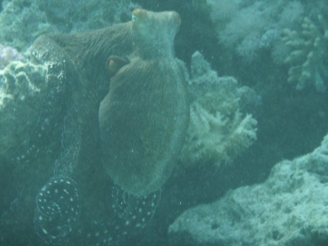 p1020622.jpg