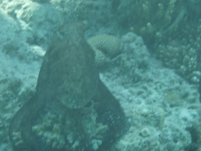 p1020623.jpg