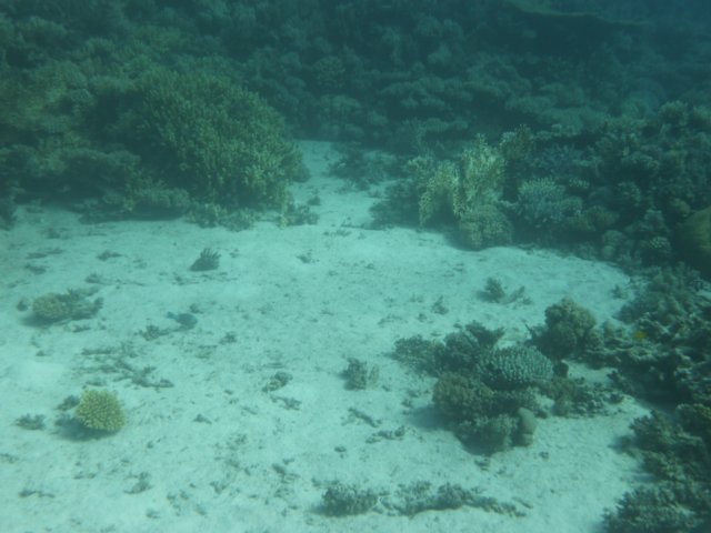 p1020638.jpg