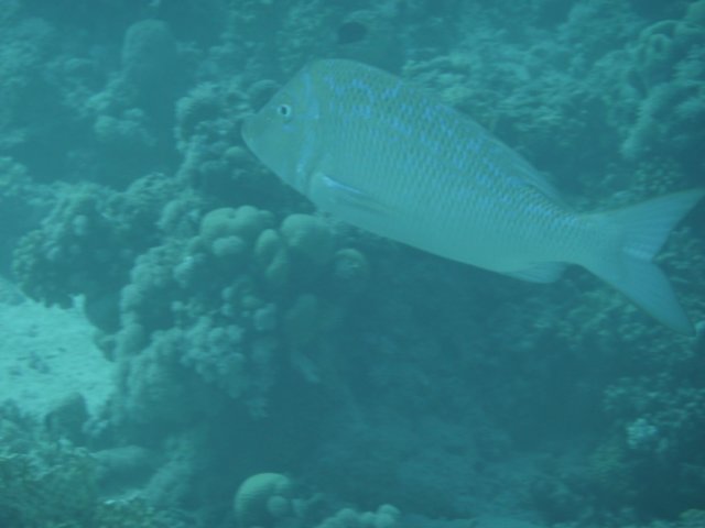 p1020644.jpg