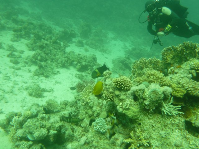 p1020647.jpg
