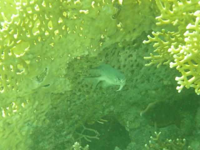 p1020657.jpg