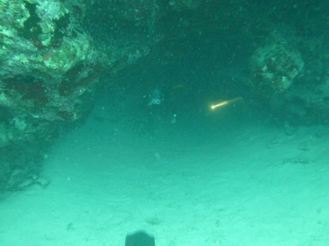 p1020682.jpg