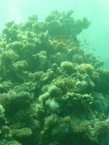 p1020693.jpg