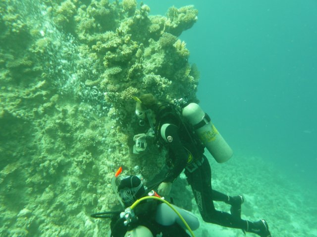 p1020695.jpg