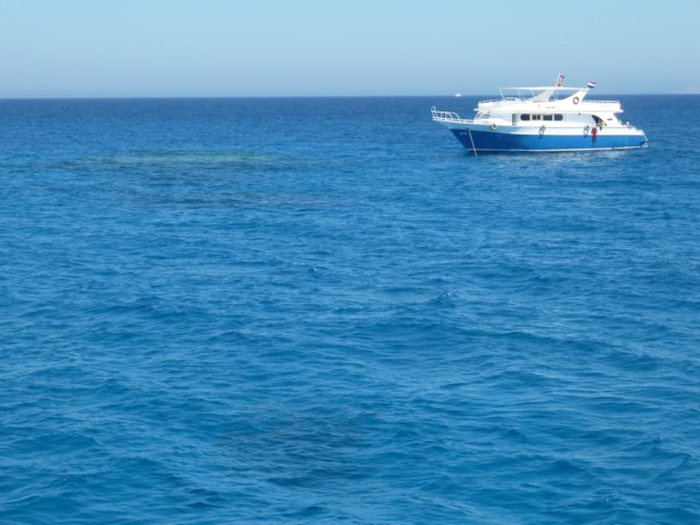 p1020715.jpg