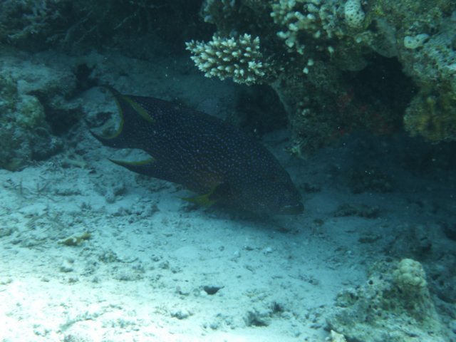 p1020722.jpg