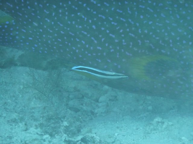 p1020724.jpg