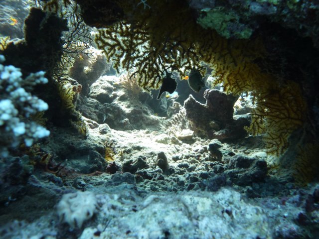 p1020728.jpg