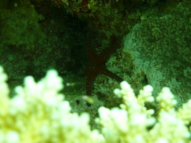 p1020739.jpg