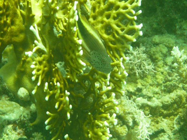 p1020741.jpg