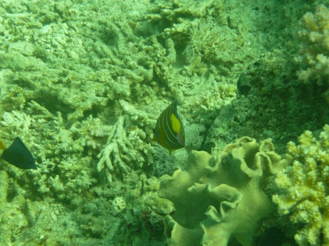p1020745.jpg