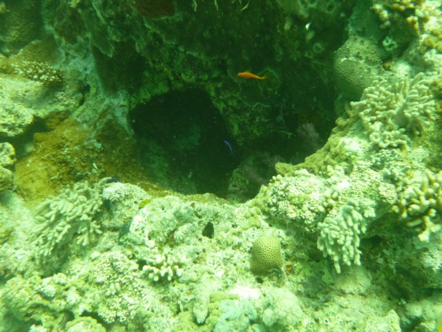p1020773.jpg