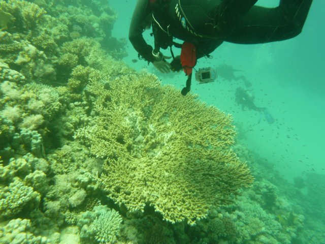 p1020910.jpg