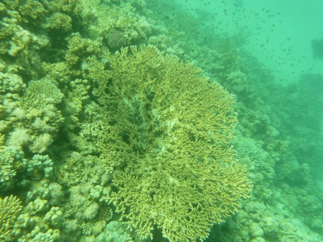 p1020911.jpg
