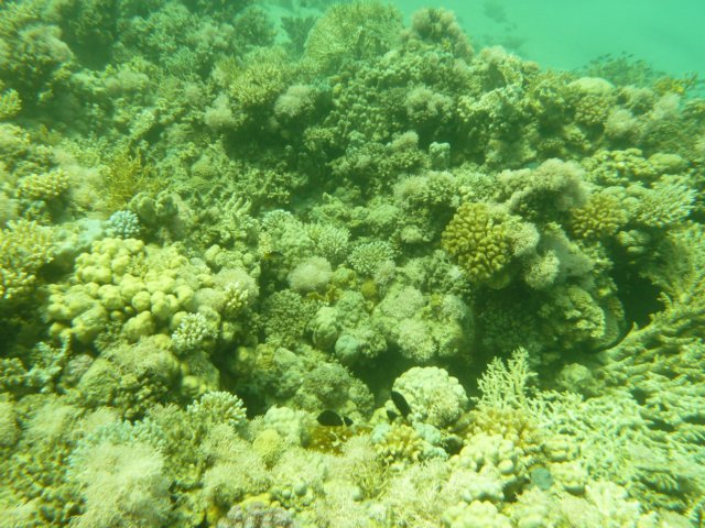 p1020914.jpg