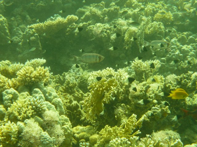p1020916.jpg