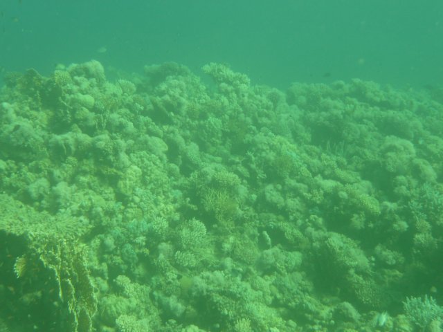 p1020918.jpg