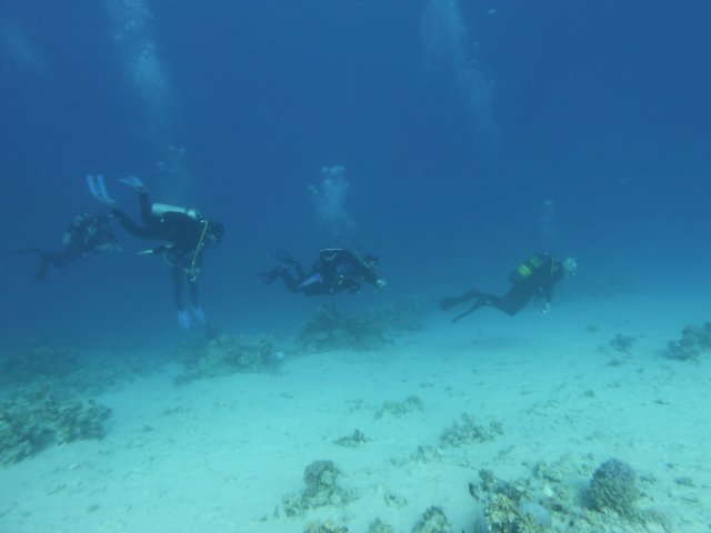 p10209192.jpg