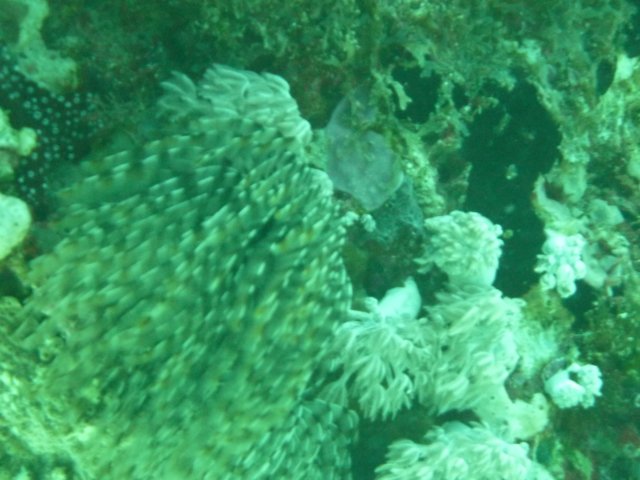 p1020925.jpg