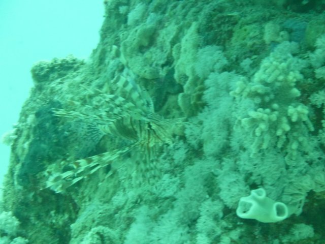 p1020927.jpg