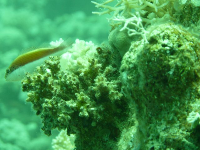 p1020929.jpg