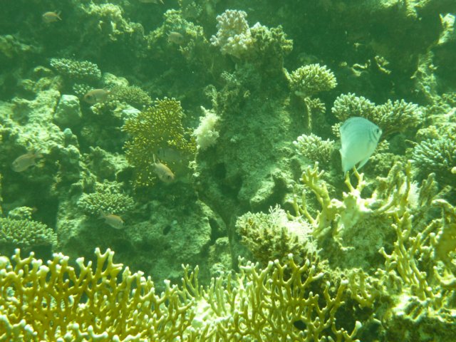 p1020931.jpg