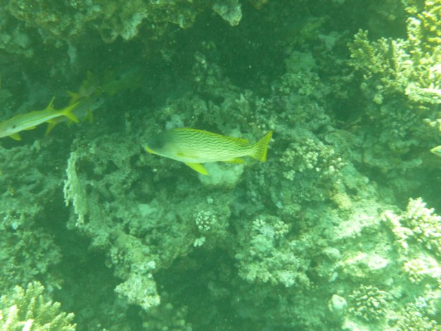 p1020935.jpg