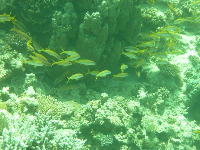p1020937.jpg
