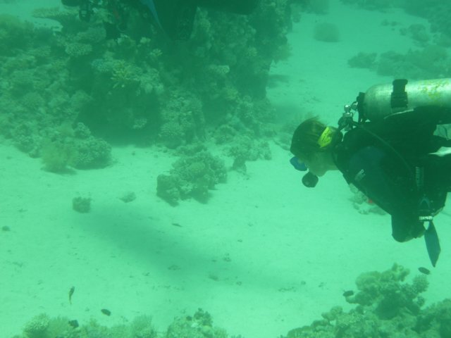 p1020943.jpg