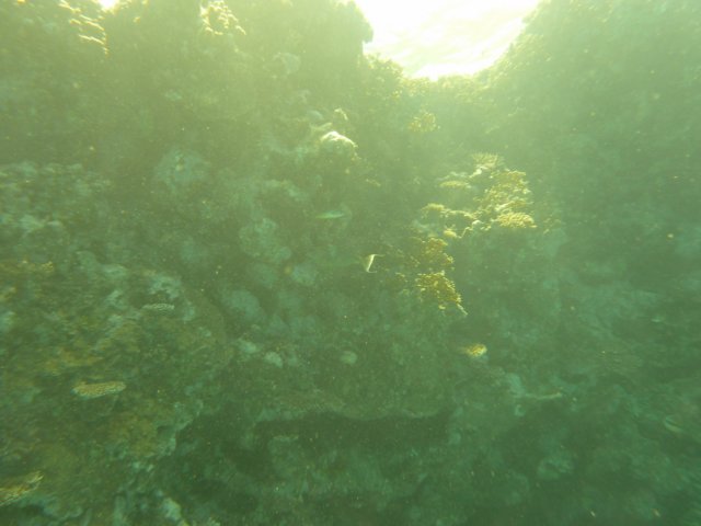 p1020953.jpg