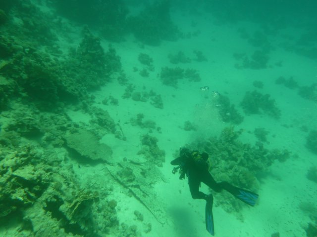 p1020954.jpg